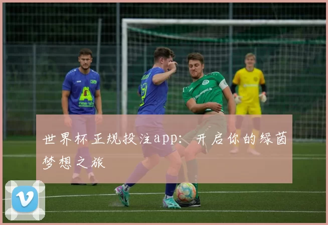 世界杯正规投注app：开启你的绿茵梦想之旅