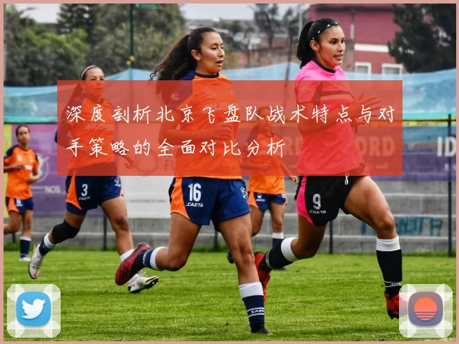 深度剖析北京飞盘队战术特点与对手策略的全面对比分析