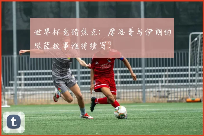 世界杯竞猜焦点：摩洛哥与伊朗的绿茵故事谁将续写？