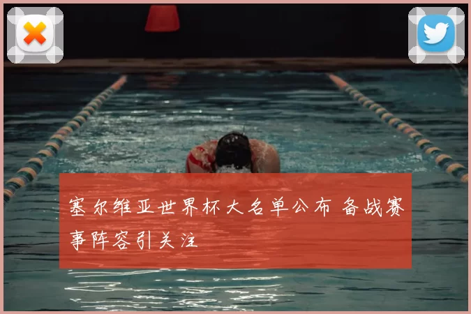 塞尔维亚世界杯大名单公布 备战赛事阵容引关注
