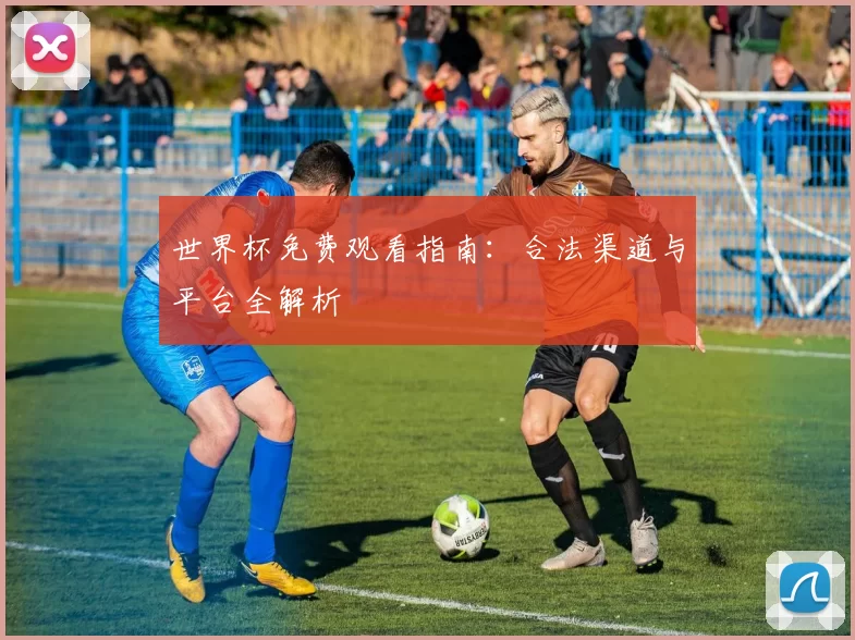 世界杯免费观看指南：合法渠道与平台全解析