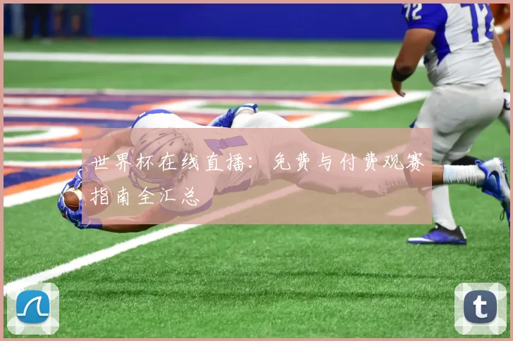 世界杯在线直播：免费与付费观赛指南全汇总
