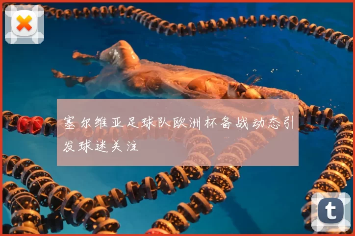 塞尔维亚足球队欧洲杯备战动态引发球迷关注