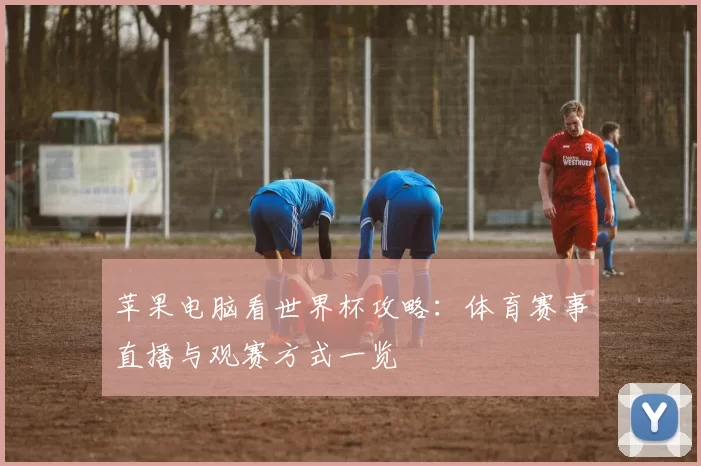 苹果电脑看世界杯攻略：体育赛事直播与观赛方式一览