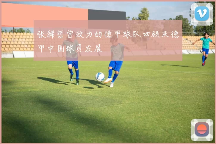 张稀哲曾效力的德甲球队回顾及德甲中国球员发展