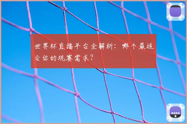 世界杯直播平台全解析:哪个最适合你的观赛需求?