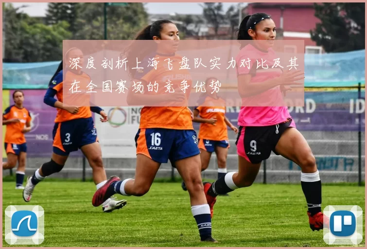 深度剖析上海飞盘队实力对比及其在全国赛场的竞争优势