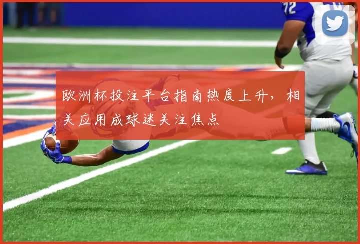 欧洲杯投注平台指南热度上升，相关应用成球迷关注焦点