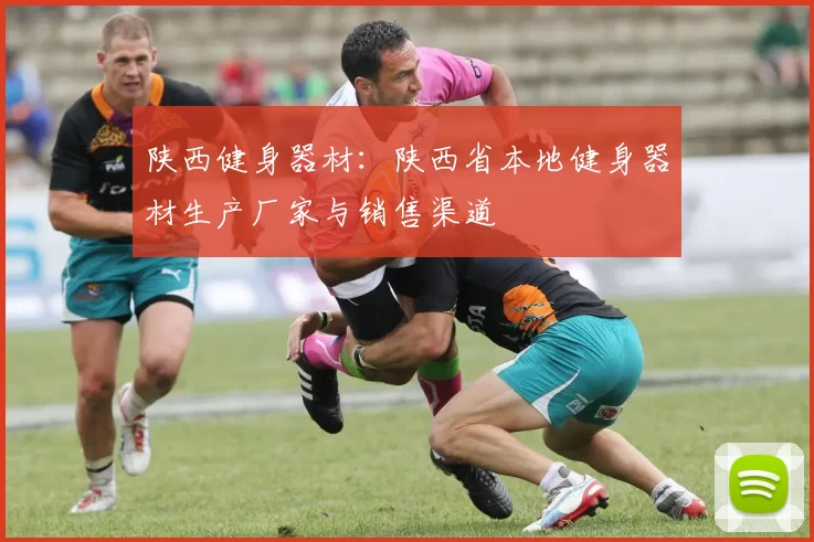 陕西健身器材：陕西省本地健身器材生产厂家与销售渠道