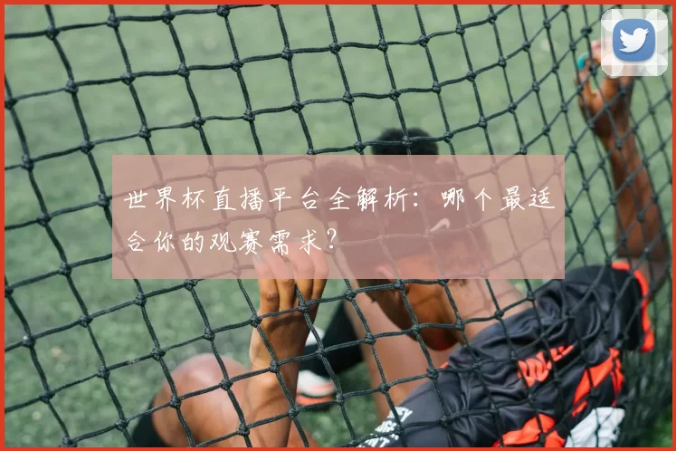 世界杯直播平台全解析：哪个最适合你的观赛需求？