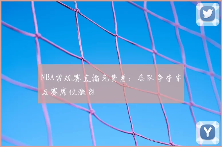 NBA常规赛直播免费看,各队争夺季后赛席位激烈