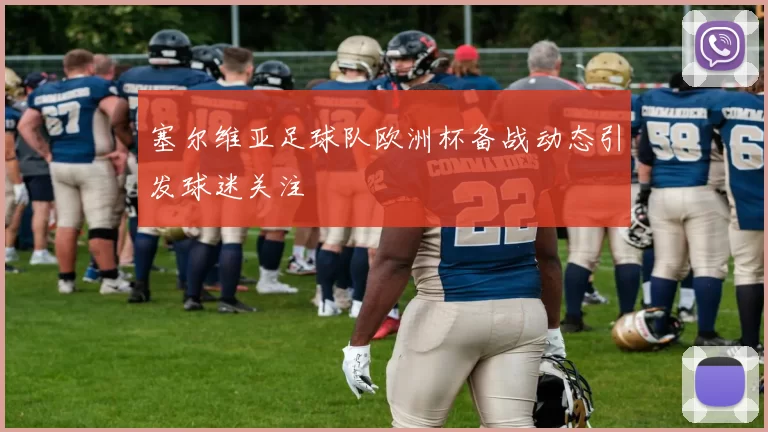 塞尔维亚足球队欧洲杯备战动态引发球迷关注