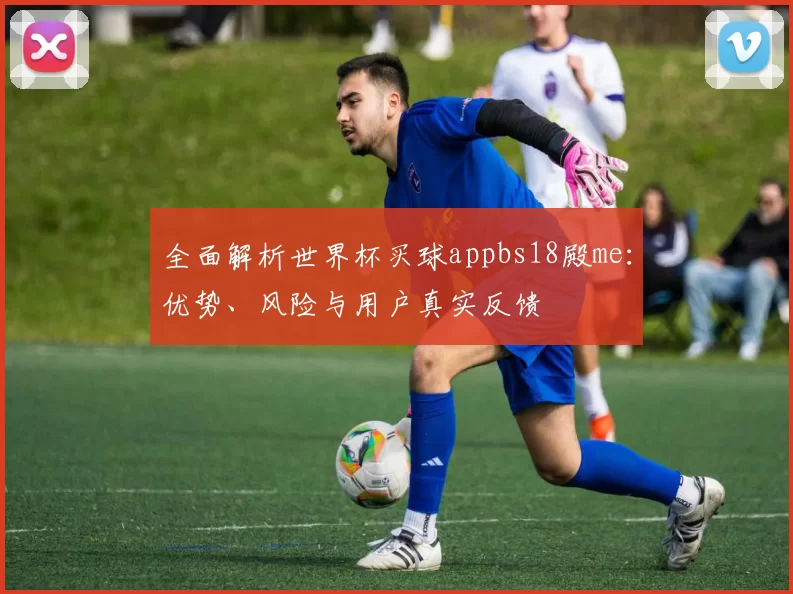 全面解析世界杯买球appbs18殿me：优势、风险与用户真实反馈