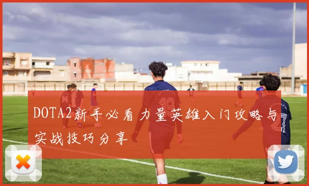 DOTA2新手必看力量英雄入门攻略与实战技巧分享
