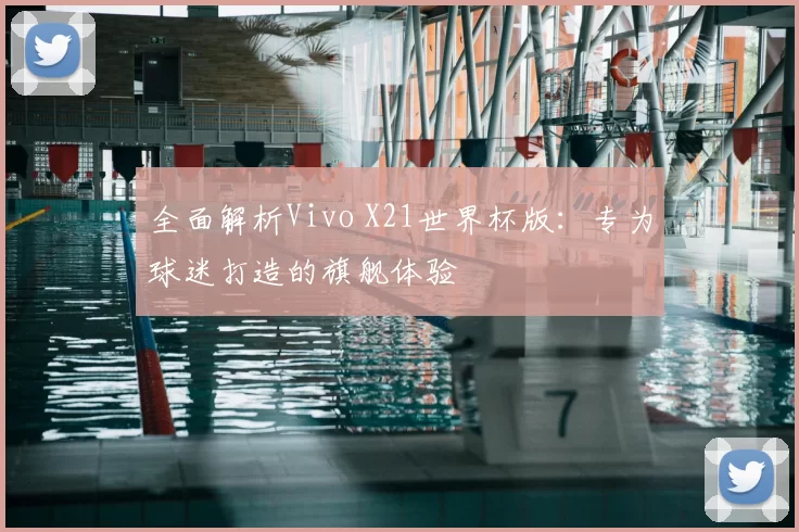 全面解析Vivo X21世界杯版：专为球迷打造的旗舰体验