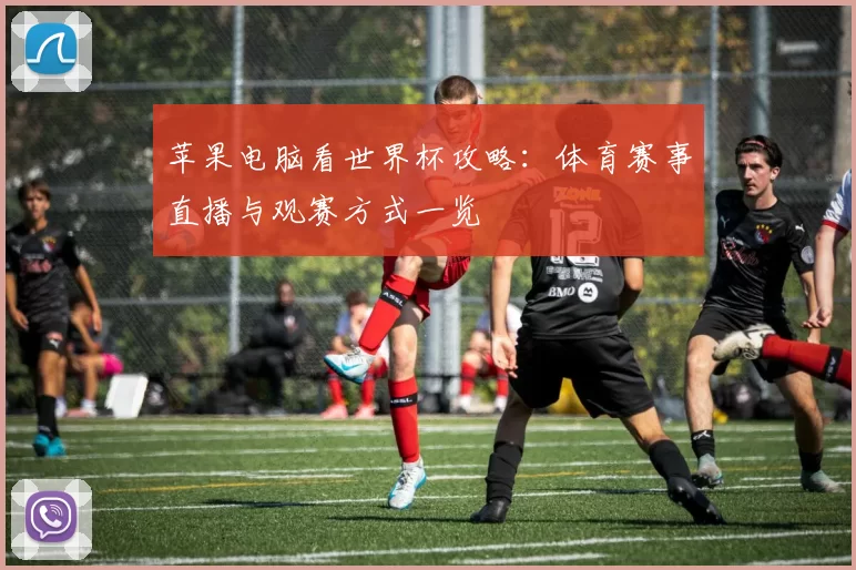 苹果电脑看世界杯攻略：体育赛事直播与观赛方式一览
