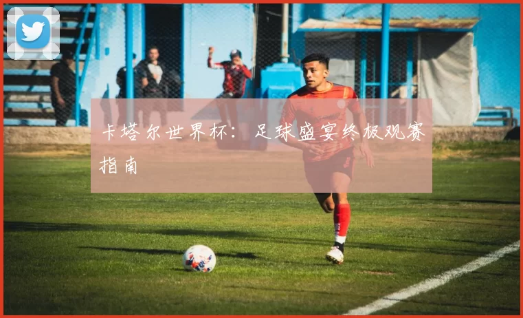 卡塔尔世界杯：足球盛宴终极观赛指南