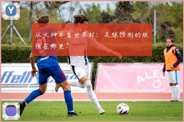 从大神单看世界杯：足球预测的极限在哪里？