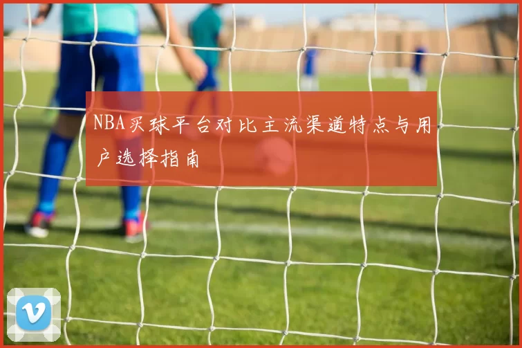 NBA买球平台对比主流渠道特点与用户选择指南